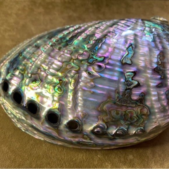 Nice handmade shells